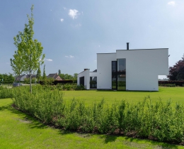 Archiwijss_Wildernis1_019.jpg