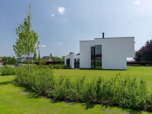 Archiwijss_Wildernis1_019.jpg