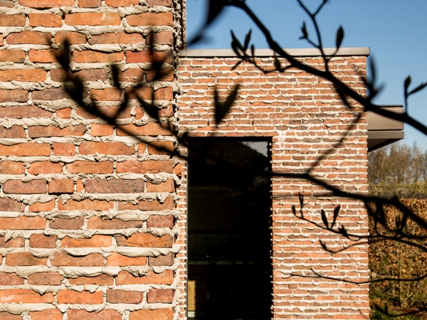 _MG_0232_LR1.jpg